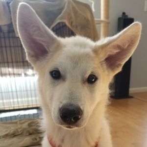 Meet your Posher, Cassie